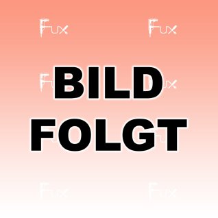 Bosch Professional 5-teiliges Schreiner Solo 2